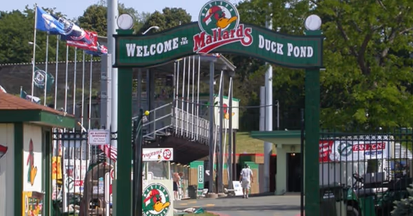 Dog Park at Warner Park